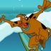 Scooby lướt ván